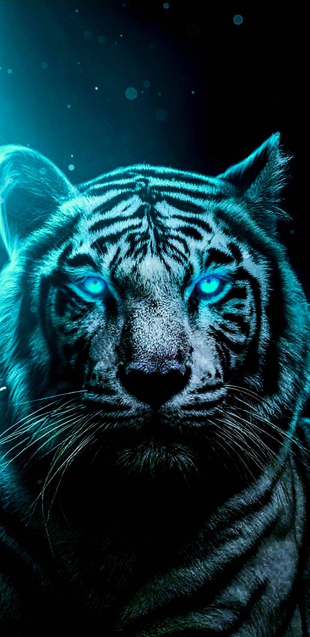 Cool White Tiger Wallpapers Top Free Cool White Tiger Backgrounds