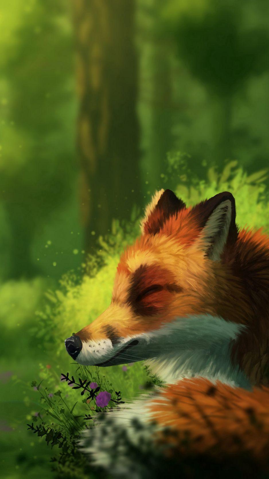 Wild Animal iPhone Wallpapers Top Free Wild Animal iPhone Backgrounds WallpaperAccess