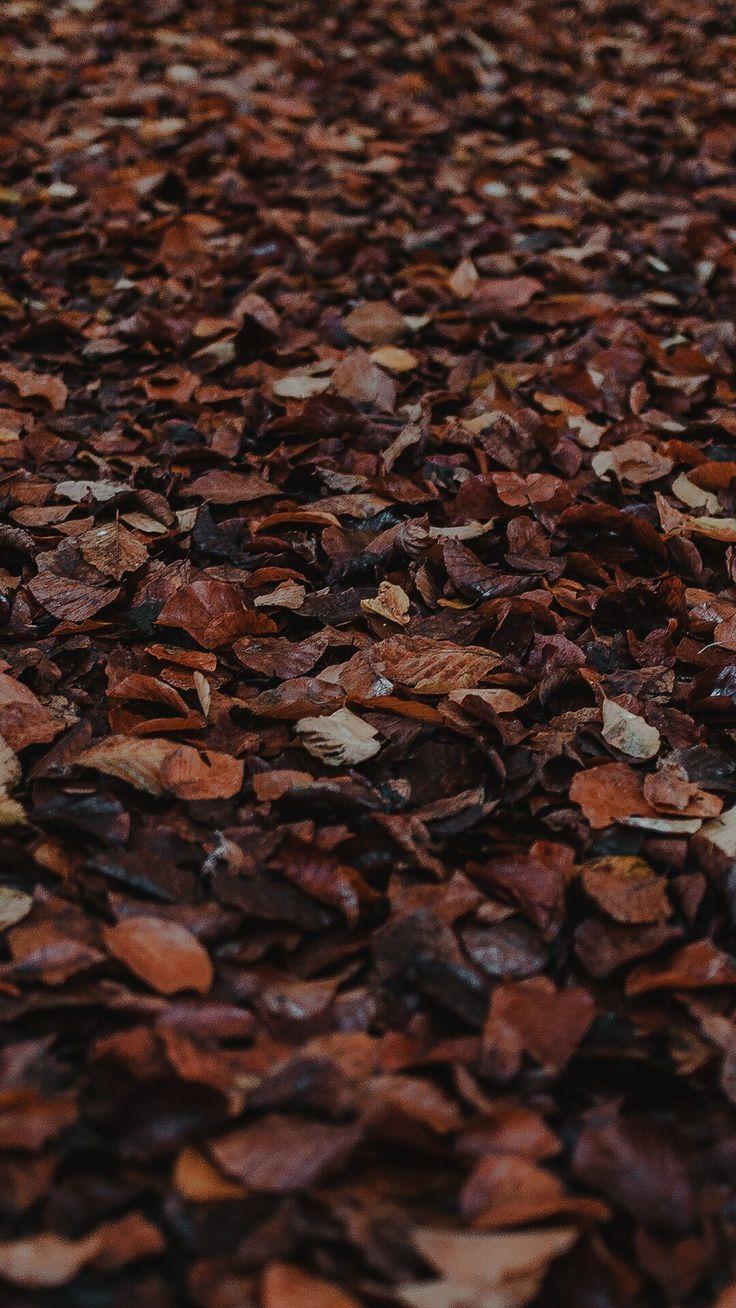 Brown Nature Wallpapers Top Free Brown Nature Backgrounds