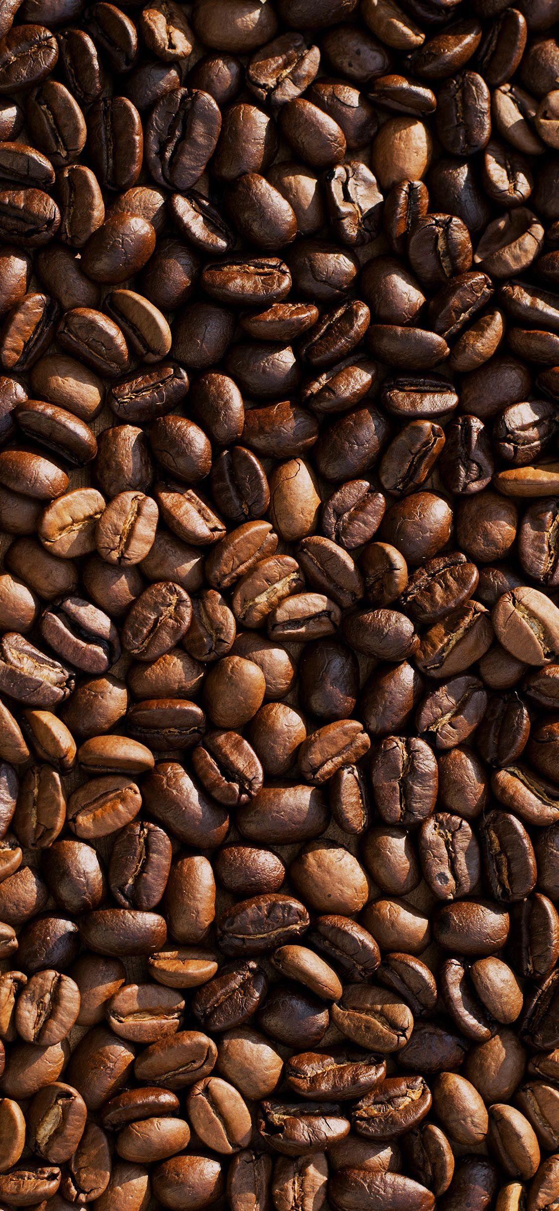 Brown Nature Wallpapers Top Free Brown Nature Backgrounds