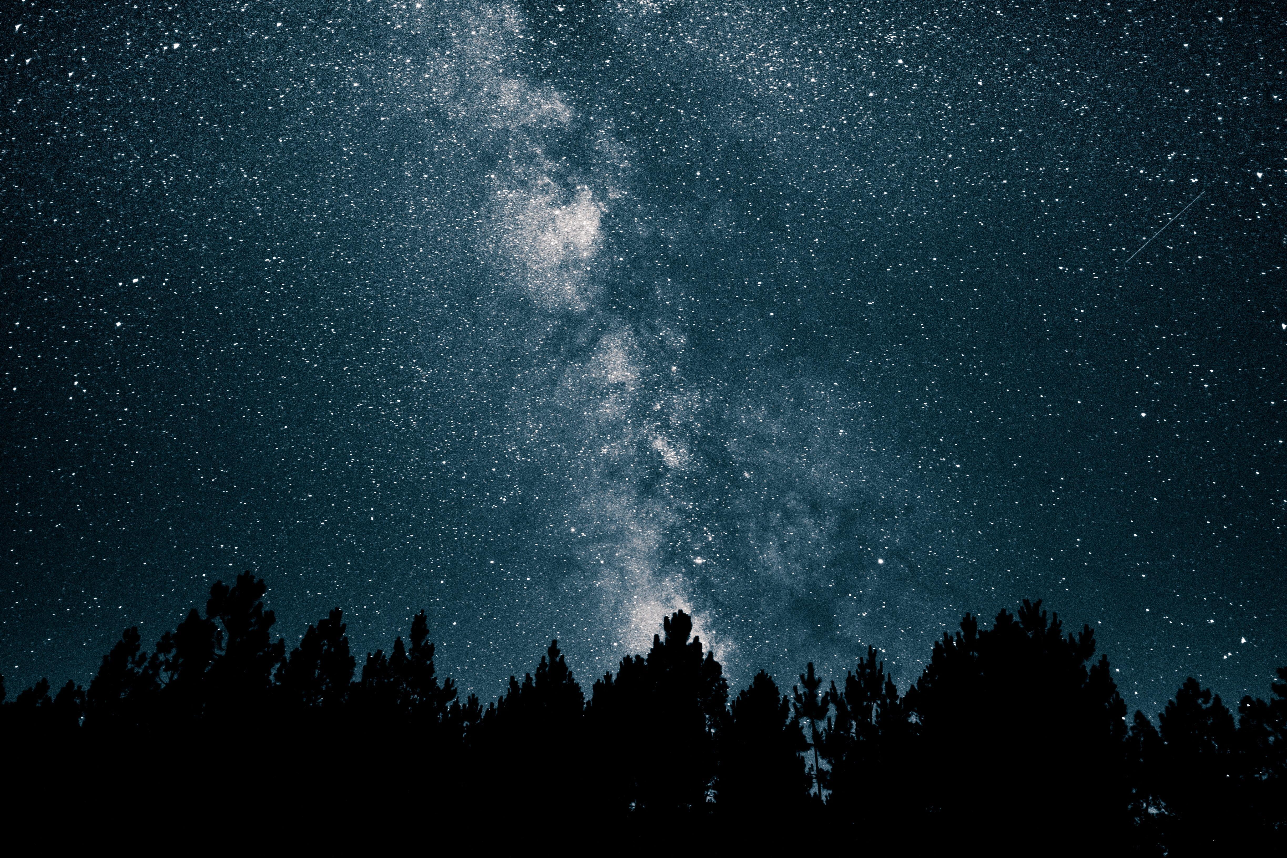Forest and Stars Wallpapers Top Free Forest and Stars Backgrounds
