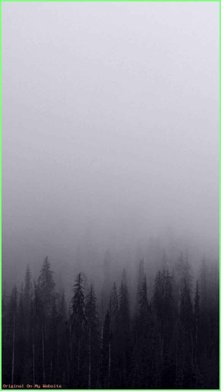 Gray Forest Wallpapers Top Free Gray Forest Backgrounds WallpaperAccess