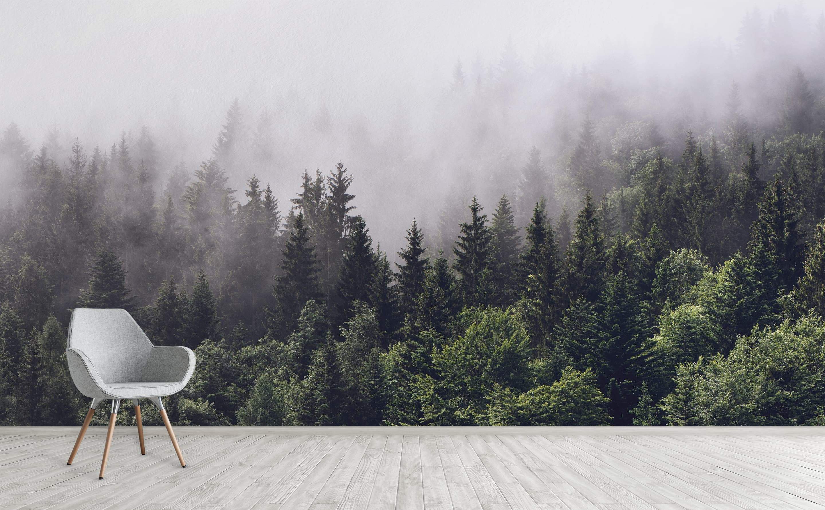 Evergreen Forest Wallpapers Top Free Evergreen Forest Backgrounds