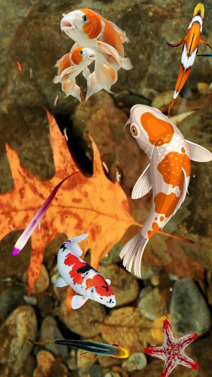 Koi Fish 3D Wallpapers Top Free Koi Fish 3D Backgrounds WallpaperAccess