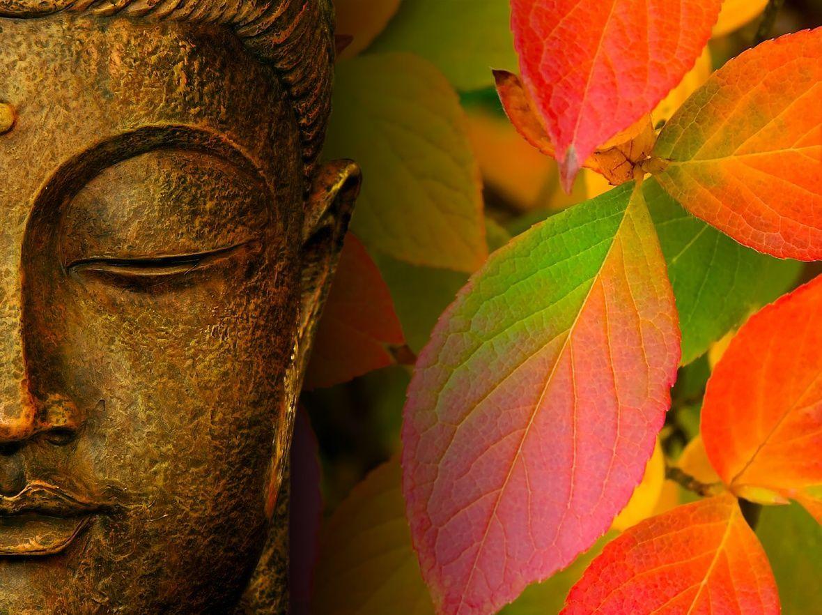 Peaceful Buddha Wallpapers Top Free Peaceful Buddha Backgrounds