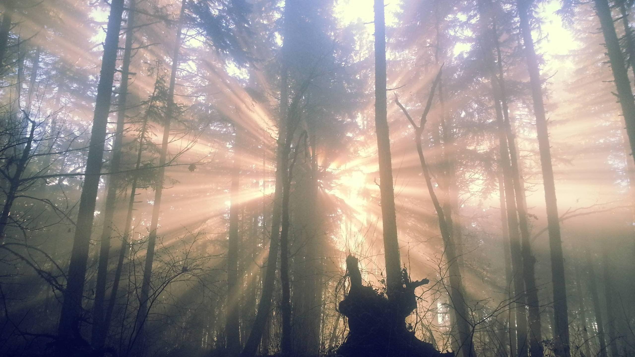 Eugene Oregon Wallpapers Top Free Eugene Oregon Backgrounds