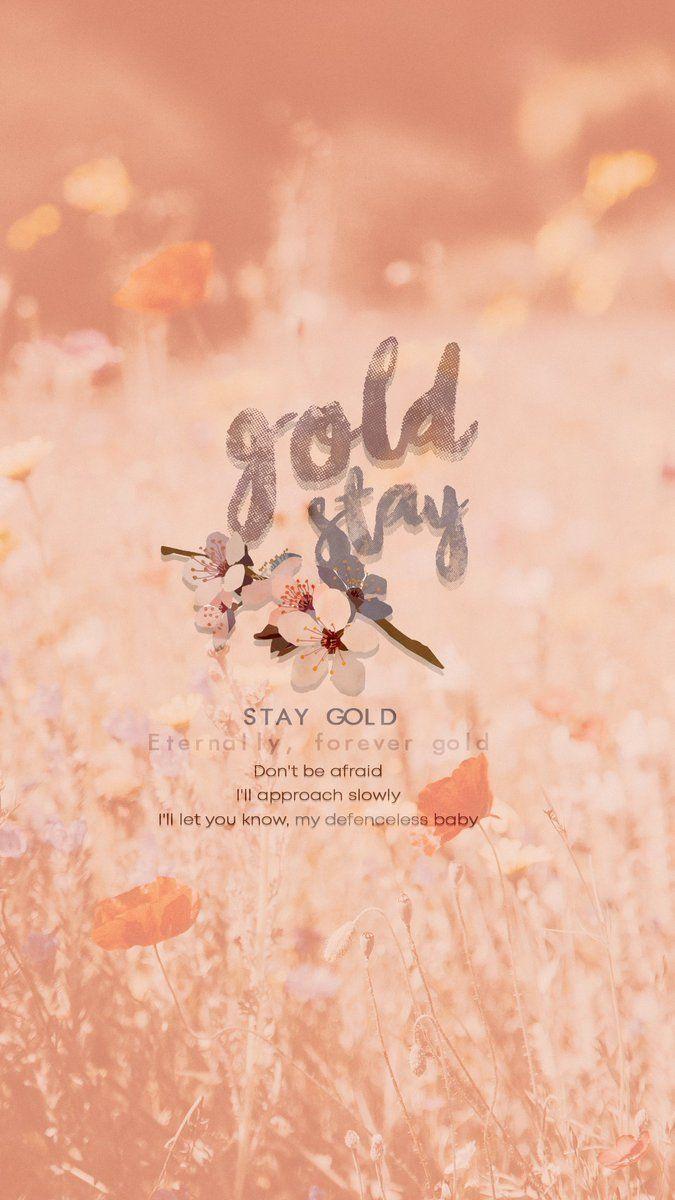 Stay Gold Wallpapers Top Free Stay Gold Backgrounds WallpaperAccess