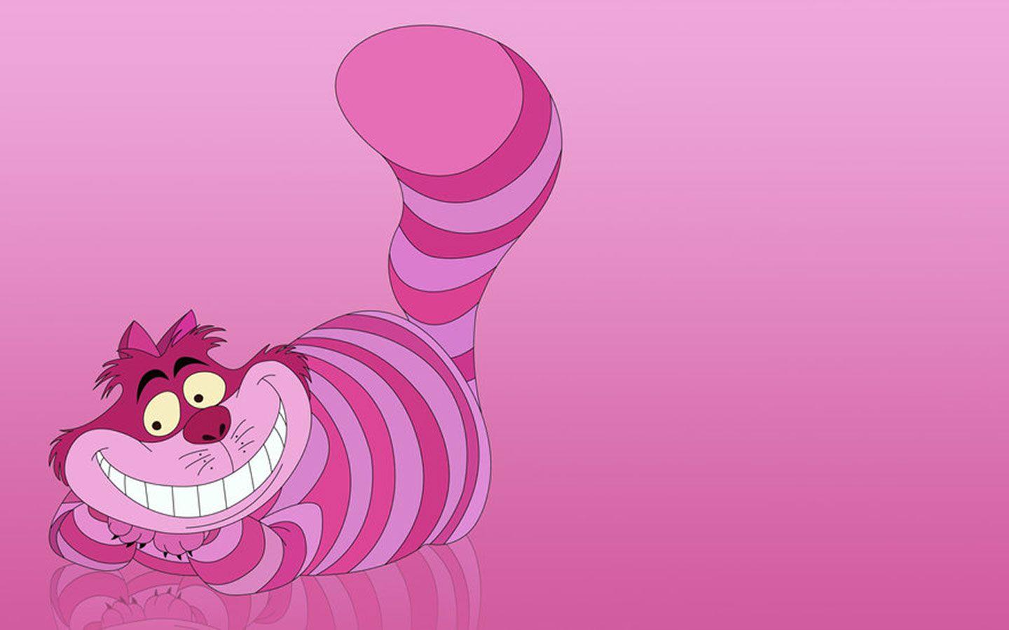 Pink Cat Wallpapers Top Free Pink Cat Backgrounds WallpaperAccess