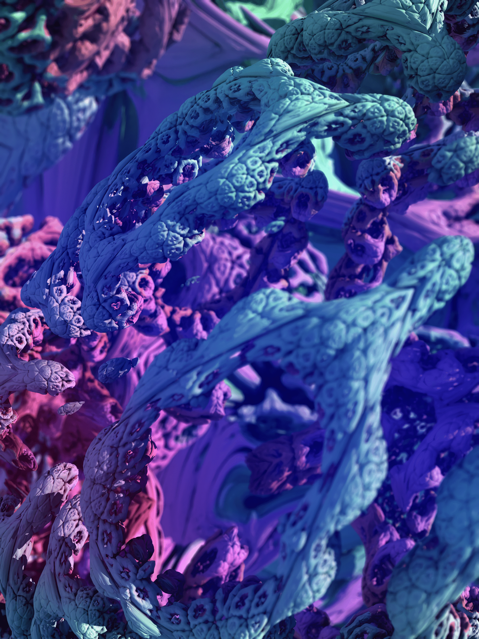 1620x2160 Wallpapers Top Free 1620x2160 Backgrounds WallpaperAccess