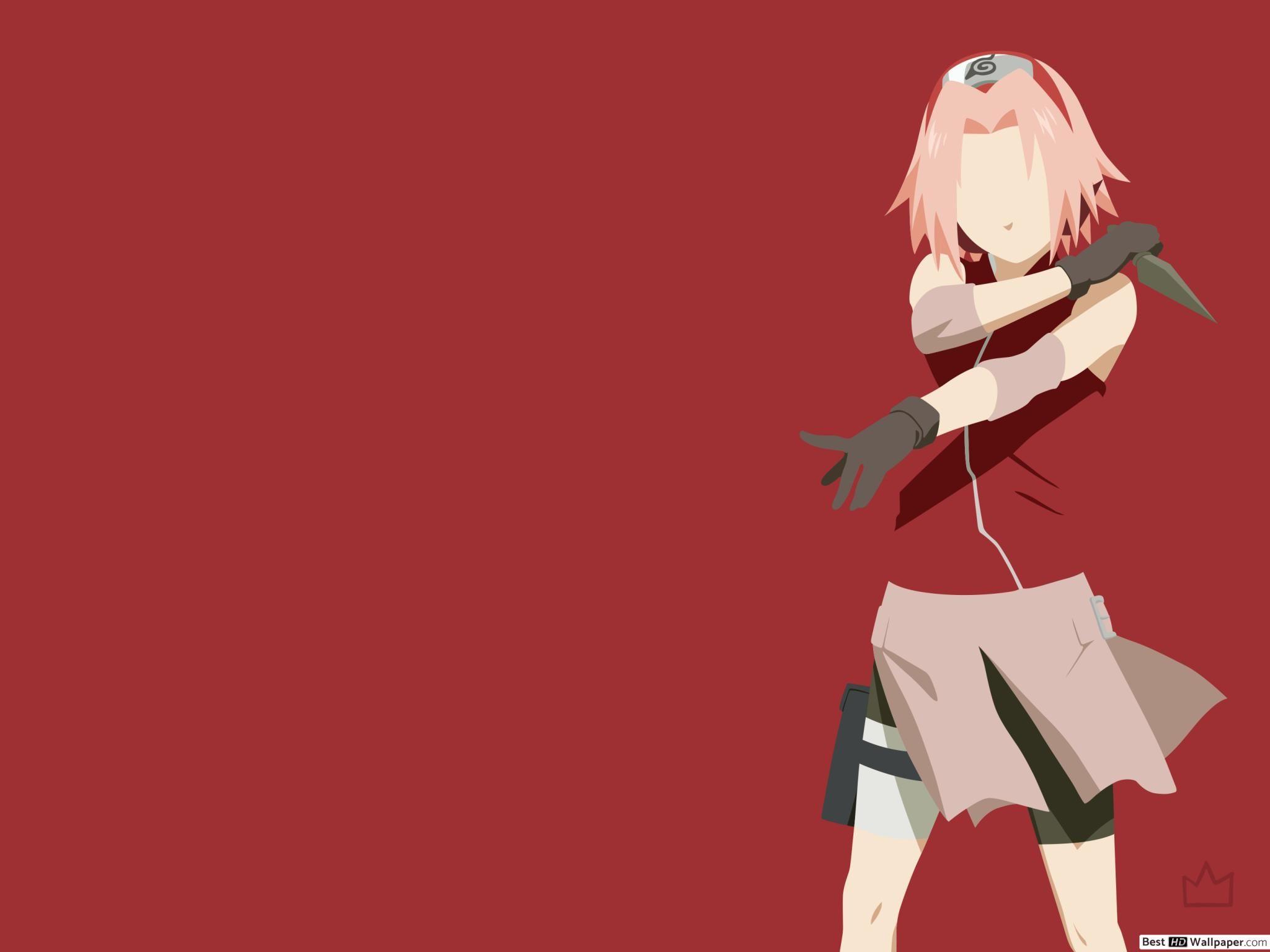 Sakura Minimalist Wallpapers Top Free Sakura Minimalist Backgrounds