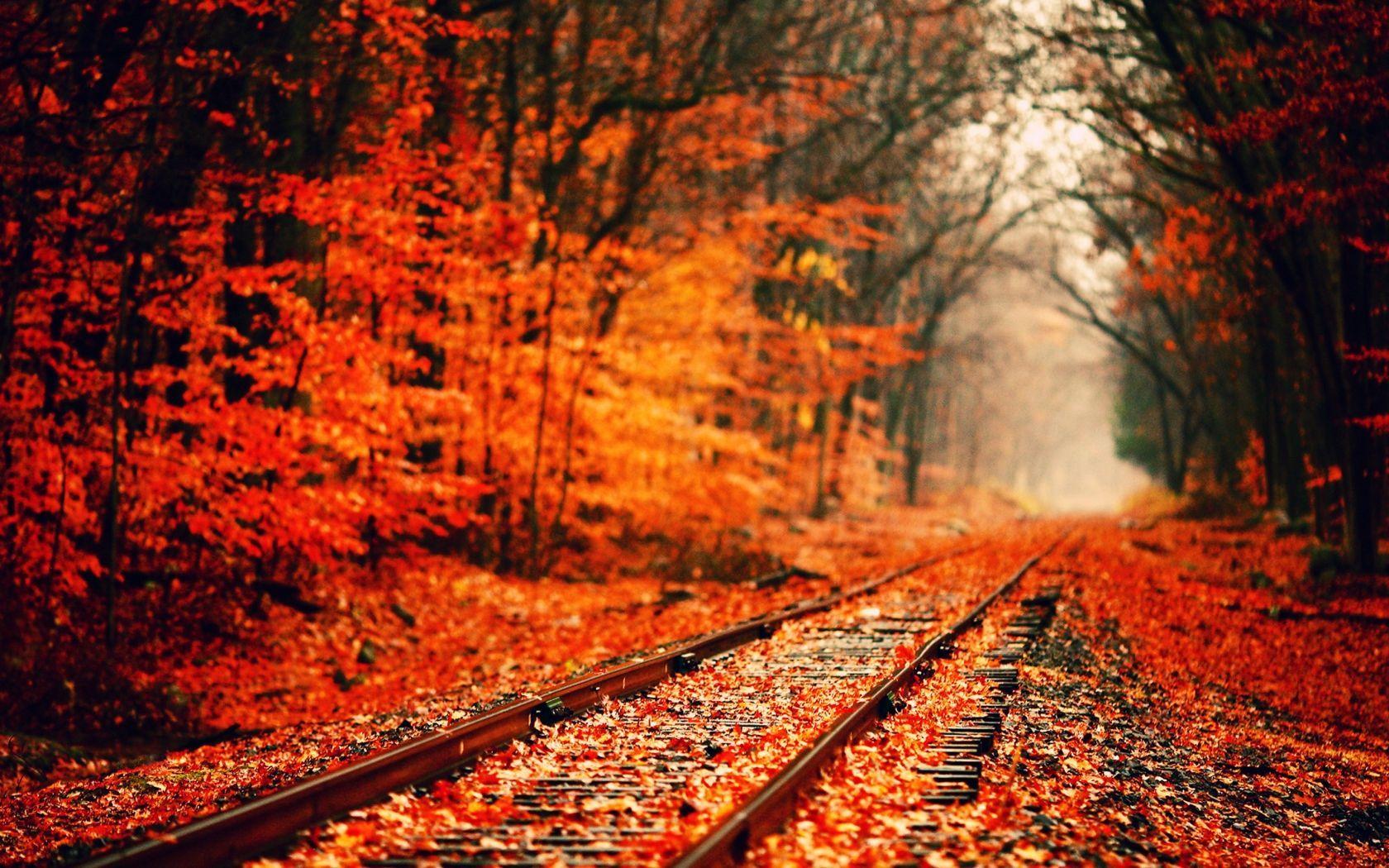 Best Autumn Desktop Wallpapers Top Free Best Autumn Desktop