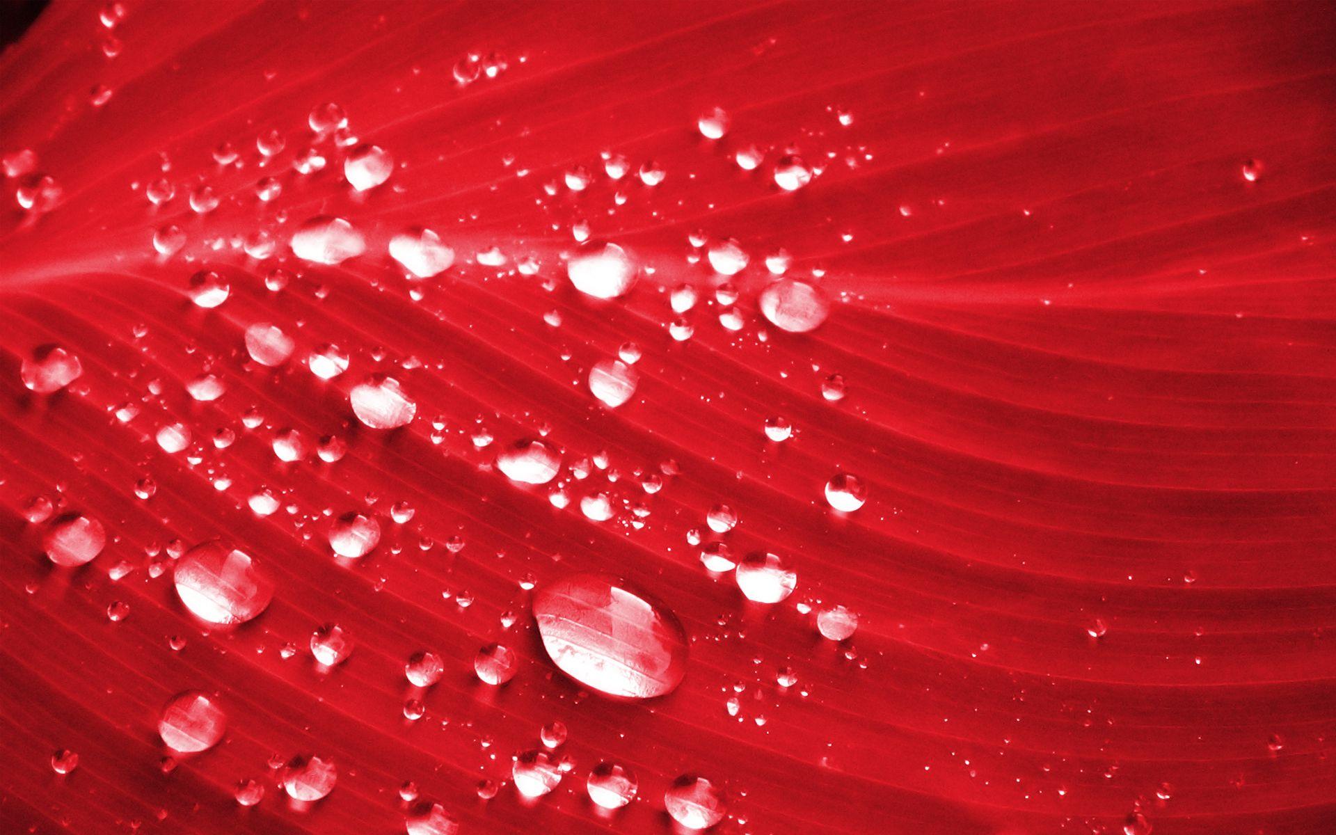 Red Water Wallpapers Top Free Red Water Backgrounds WallpaperAccess