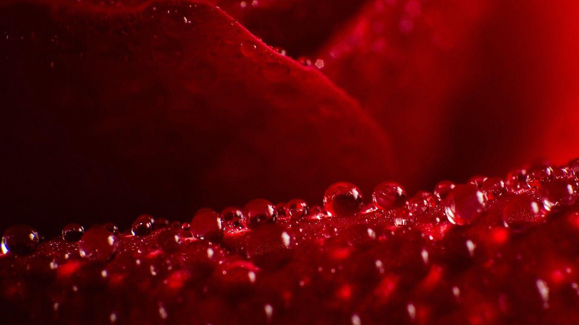 Red Water Wallpapers Top Free Red Water Backgrounds WallpaperAccess