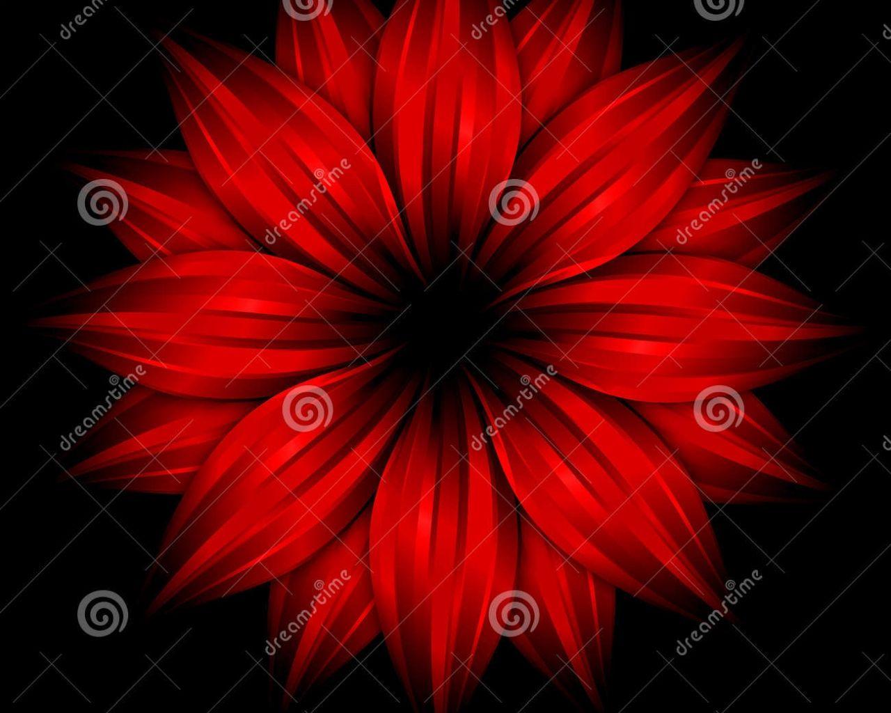 Black and Red Flower Wallpapers Top Free Black and Red Flower