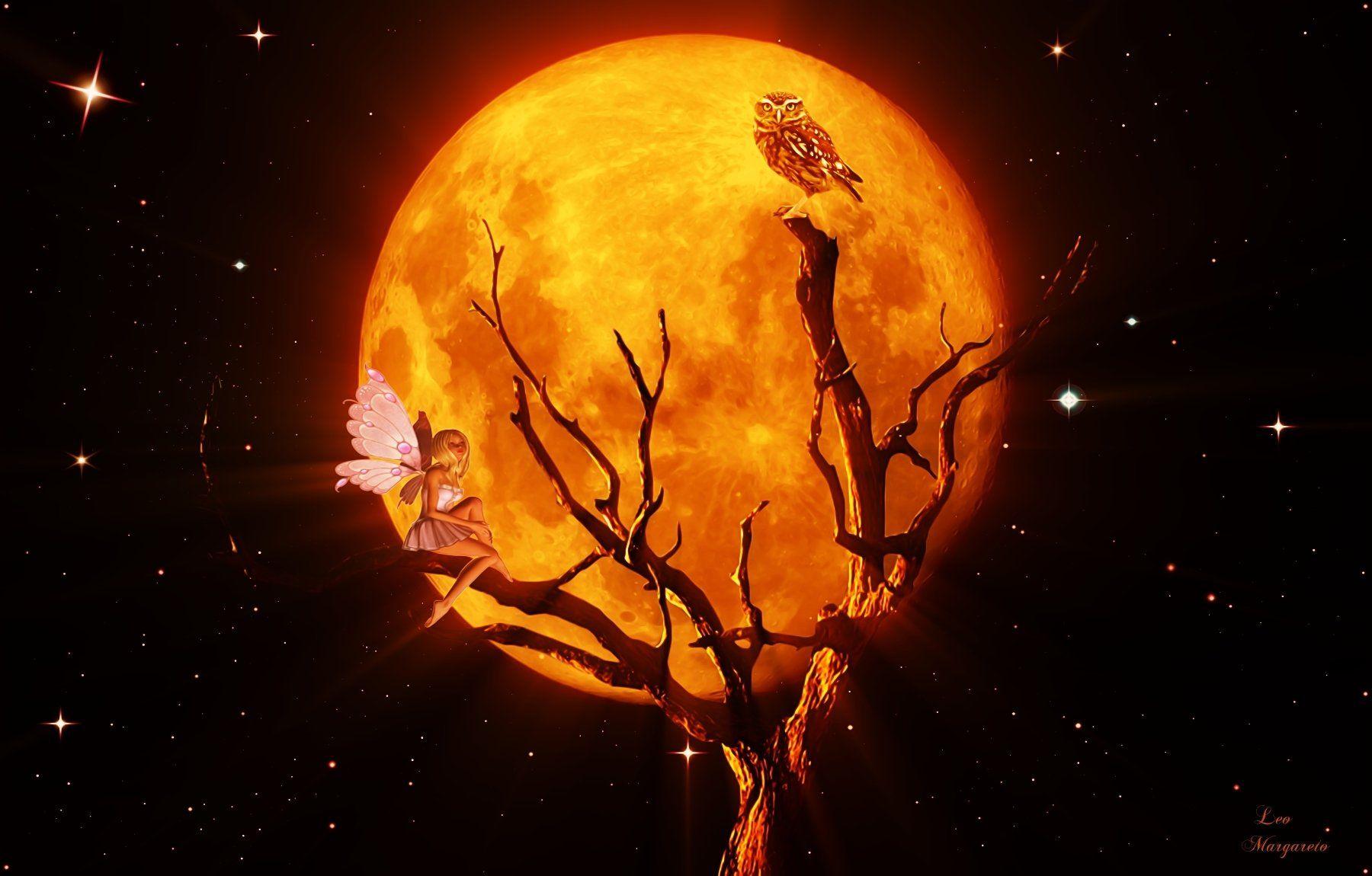 Orange Moon Wallpapers Top Free Orange Moon Backgrounds WallpaperAccess