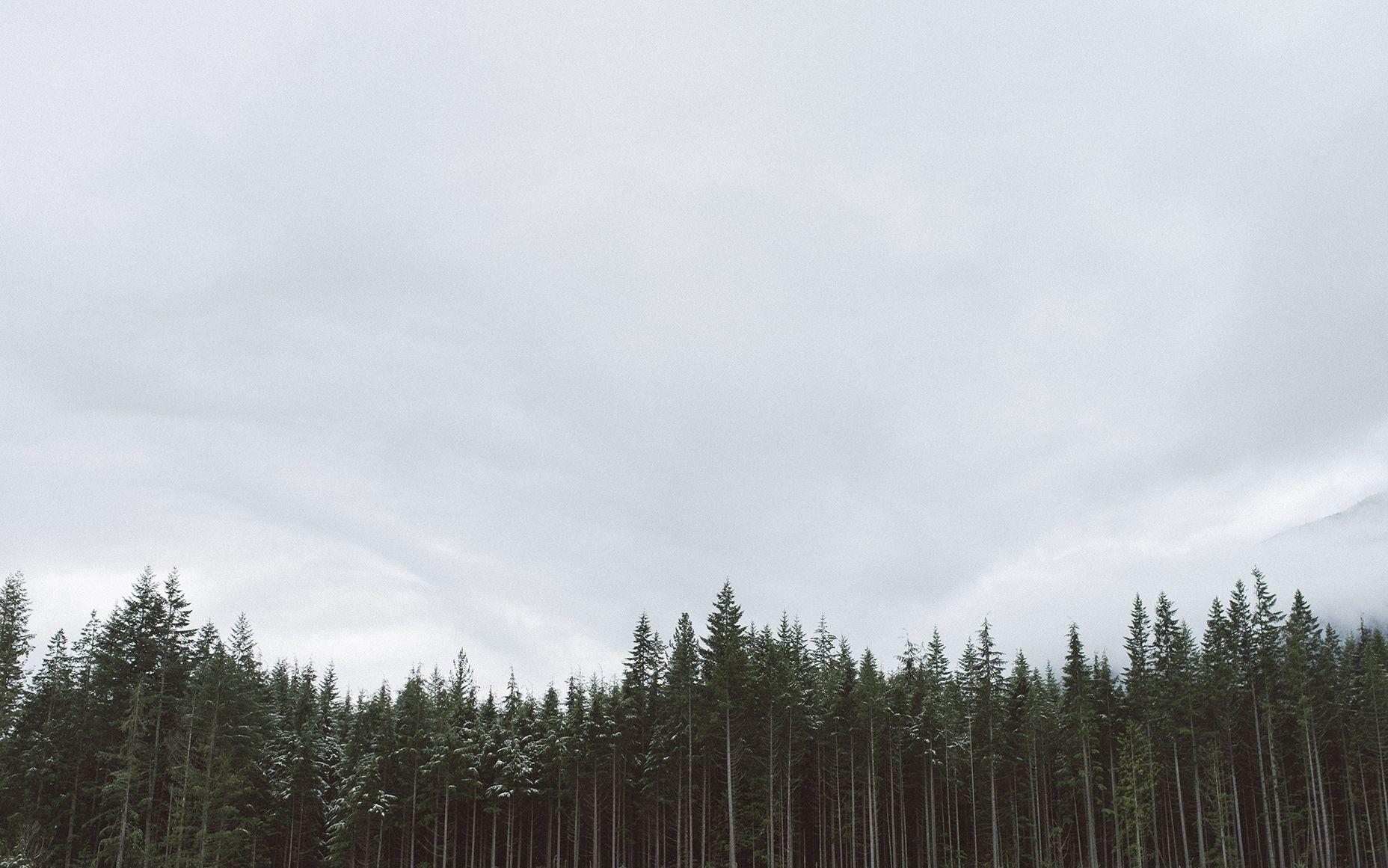 Pinterest Desktop Wallpapers Top Free Pinterest Desktop Backgrounds