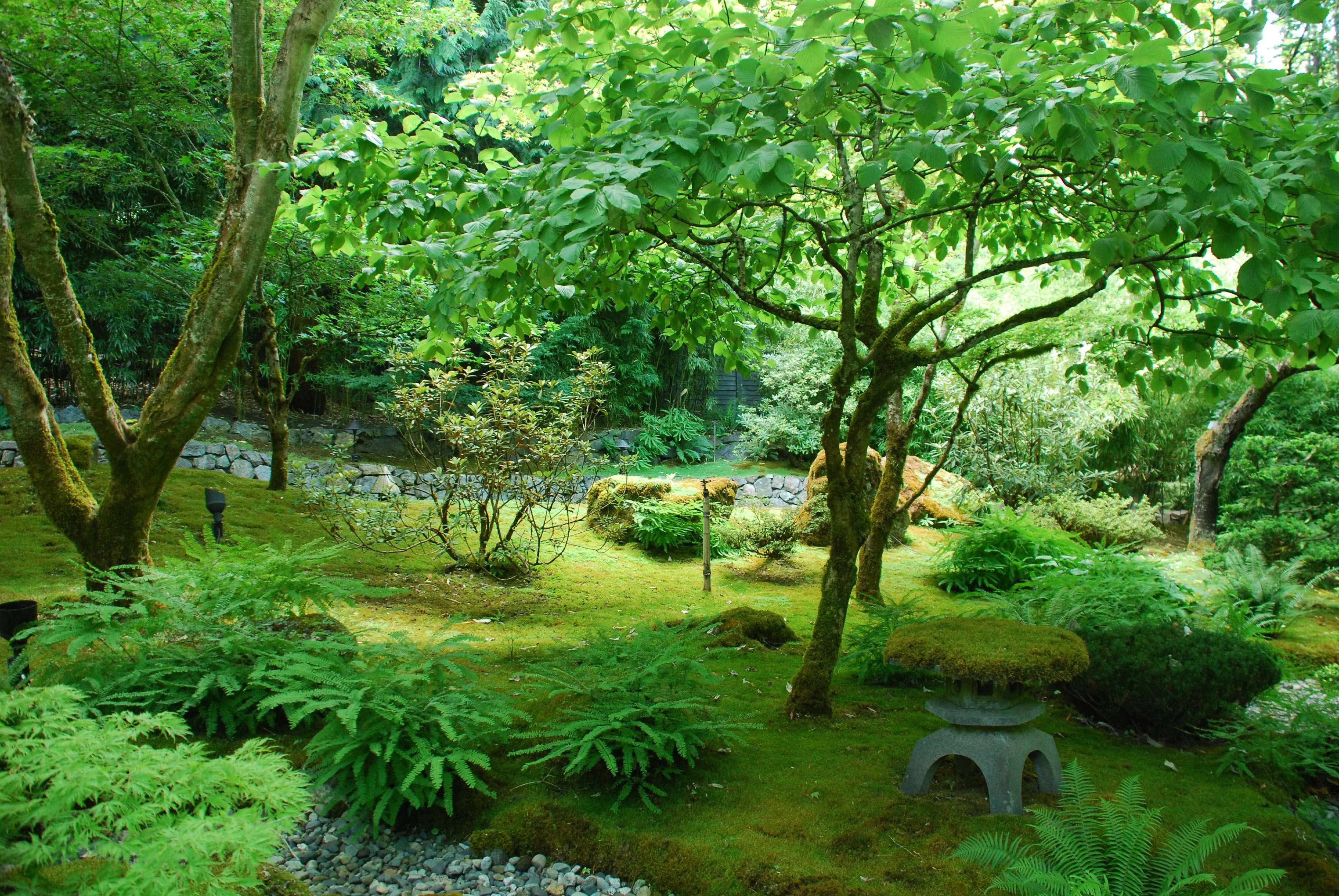 Japanese Forest Wallpapers Top Free Japanese Forest Backgrounds