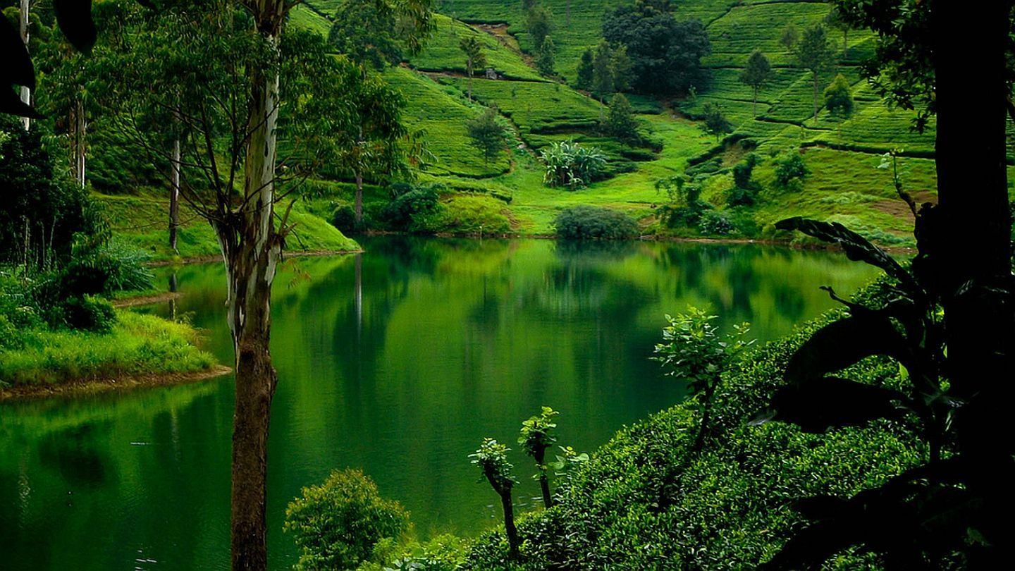 Sri Lanka Nature Wallpapers Top Free Sri Lanka Nature Backgrounds