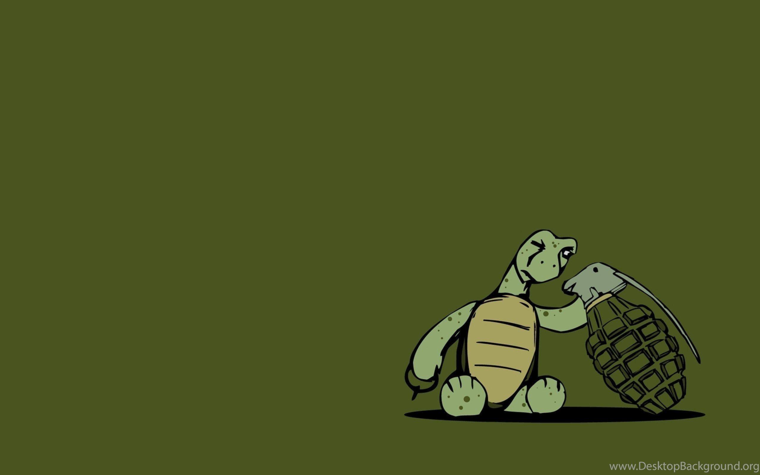 Funny Turtle Wallpapers Top Free Funny Turtle Backgrounds