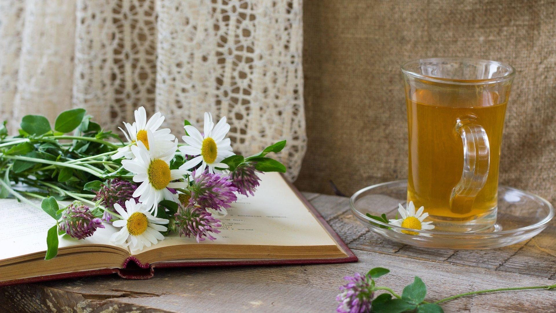 Tea and Books Wallpapers Top Free Tea and Books Backgrounds