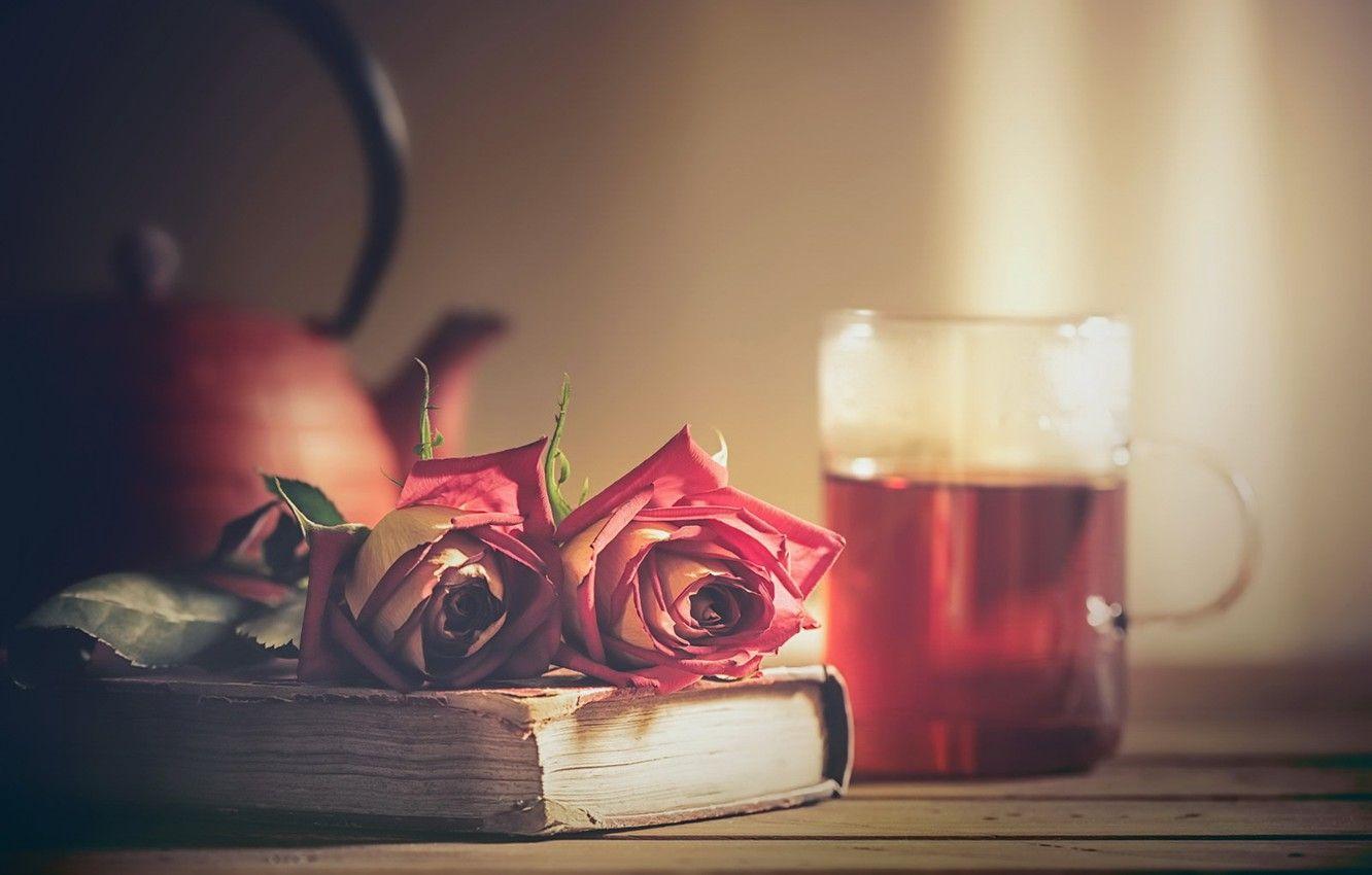 Tea and Books Wallpapers Top Free Tea and Books Backgrounds