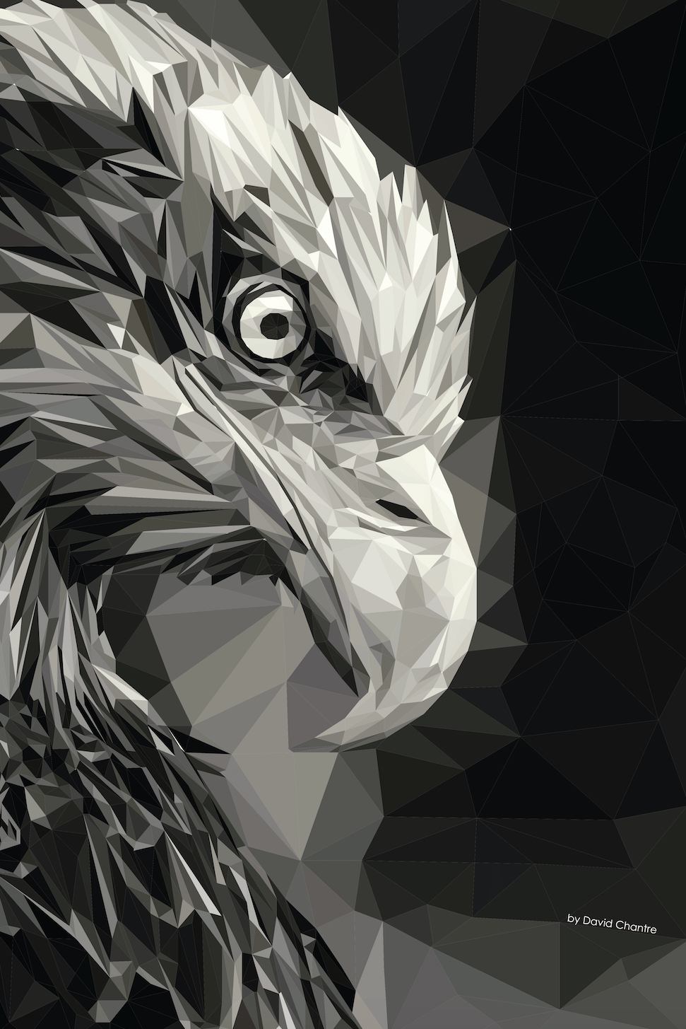 Geometric Eagle Wallpapers Top Free Geometric Eagle Backgrounds