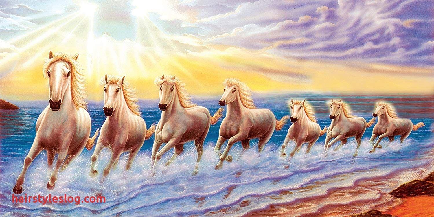 7 Horses Wallpapers Top Free 7 Horses Backgrounds WallpaperAccess