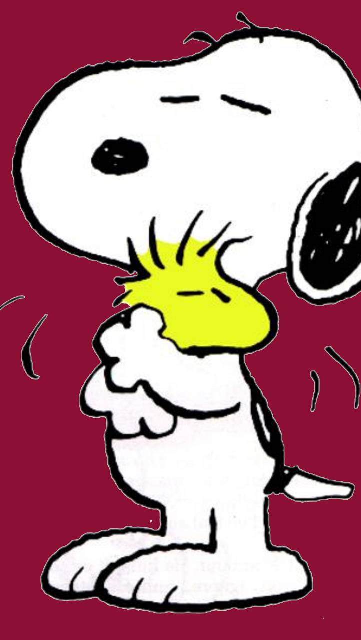 Snoopy and Woodstock Wallpapers Top Free Snoopy and Woodstock