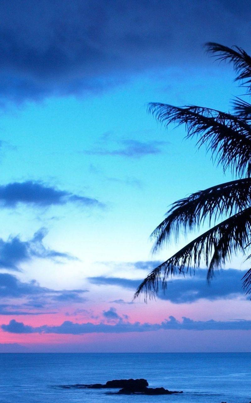 Blue Sunset Beach Wallpapers Top Free Blue Sunset Beach Backgrounds