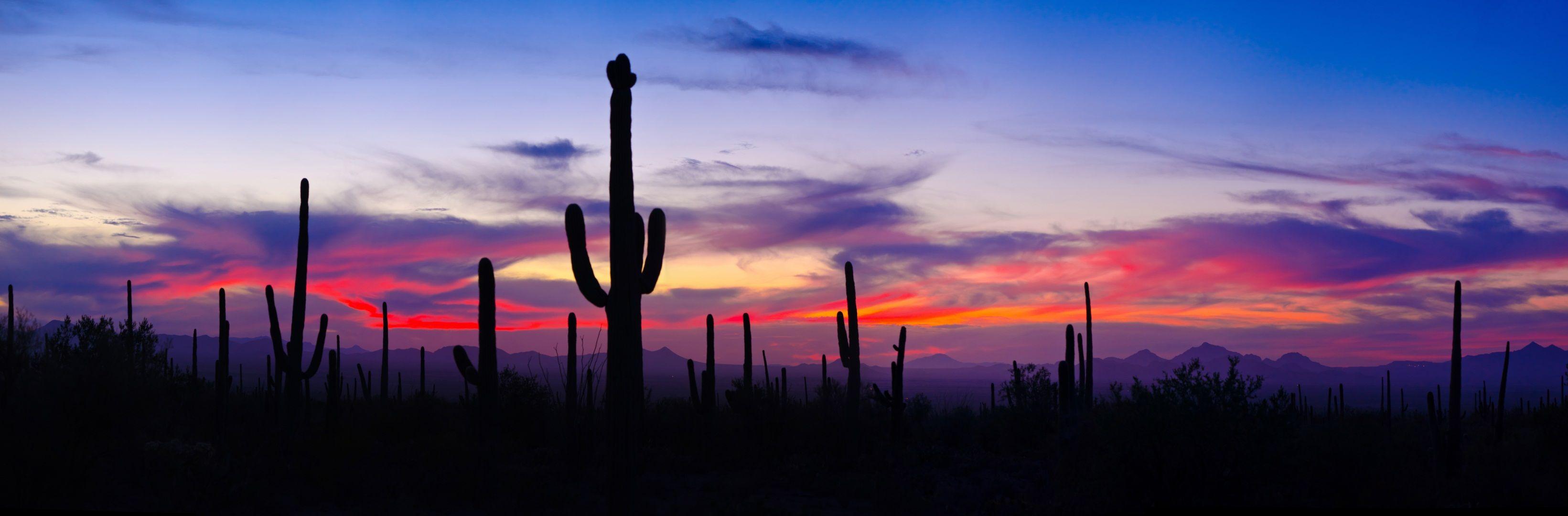 Tucson Sunset Wallpapers Top Free Tucson Sunset Backgrounds