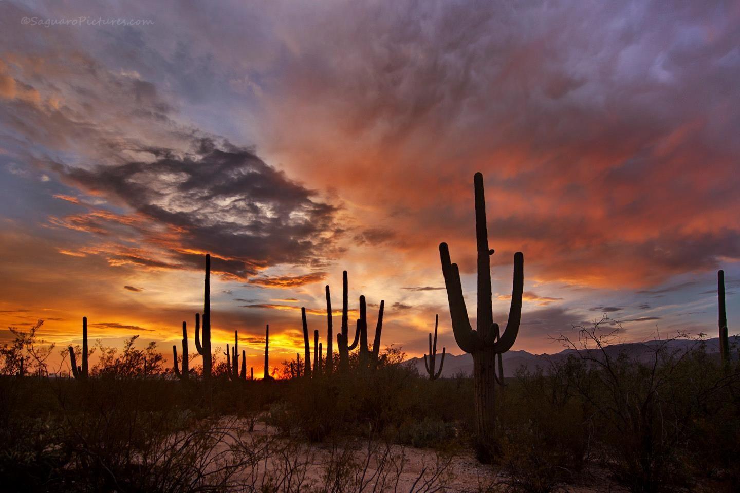 Tucson Sunset Wallpapers Top Free Tucson Sunset Backgrounds