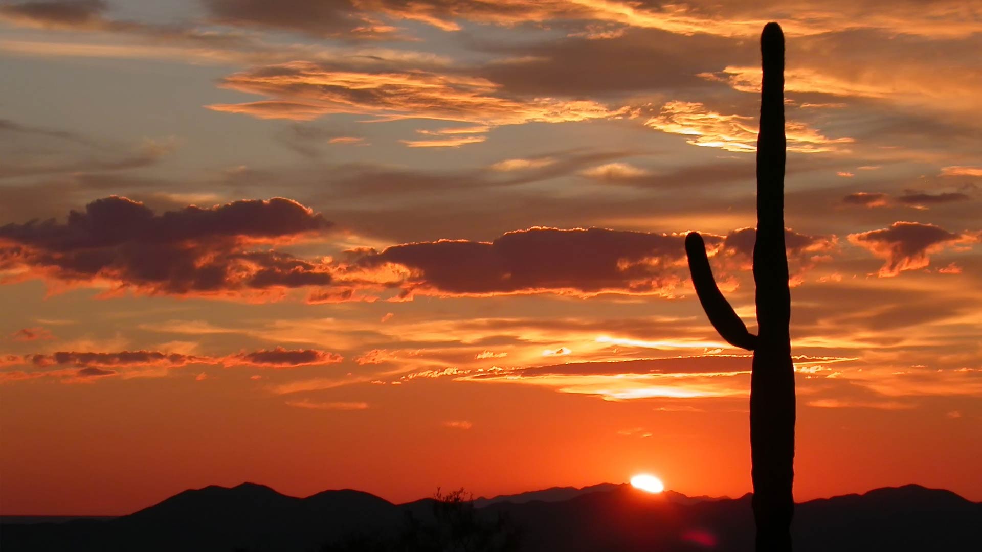 Tucson Sunset Wallpapers Top Free Tucson Sunset Backgrounds