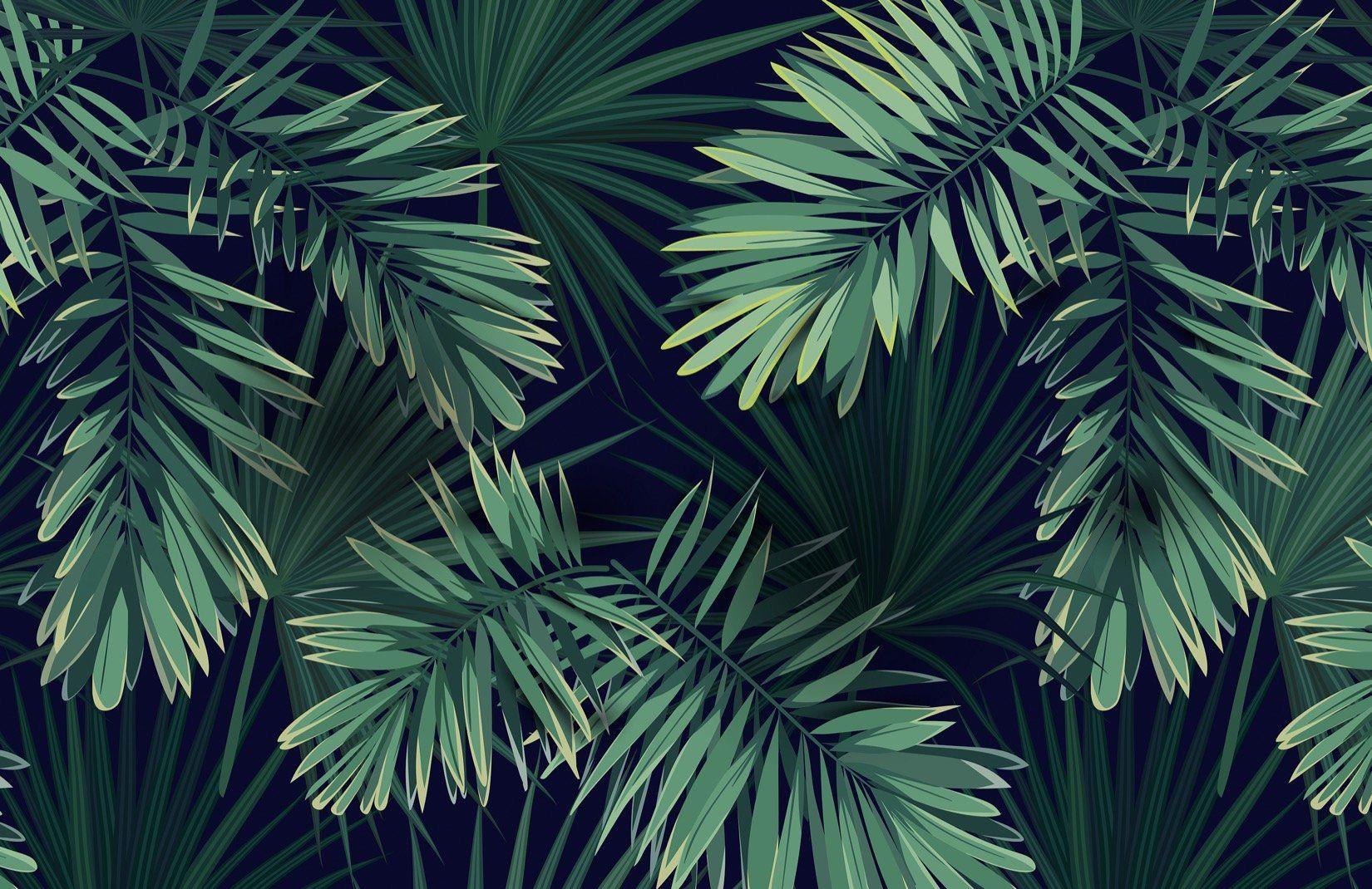 Green Tropical Wallpapers Top Free Green Tropical Backgrounds WallpaperAccess