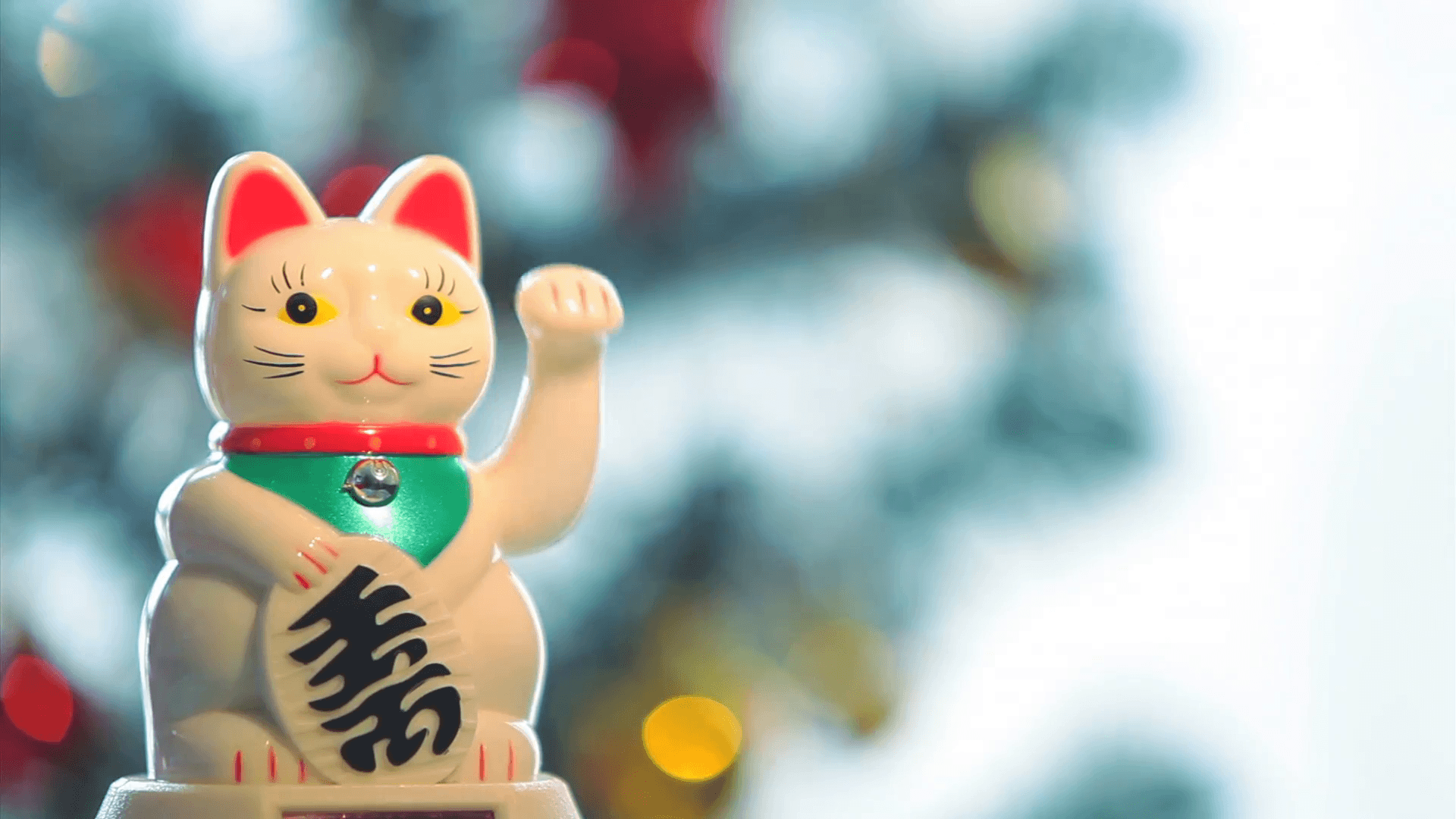 Japanese Cat Wallpapers Top Free Japanese Cat Backgrounds