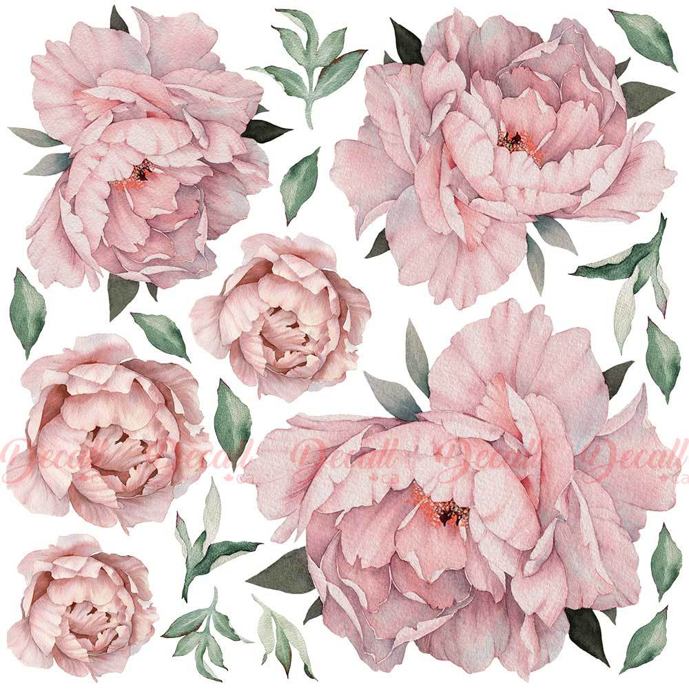 Vintage Pink Peony Wallpapers Top Free Vintage Pink Peony Backgrounds WallpaperAccess