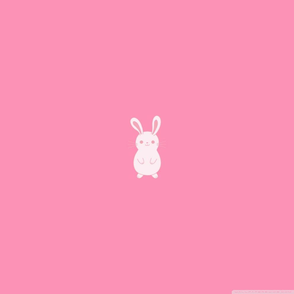 Pink Bunny Wallpapers Top Free Pink Bunny Backgrounds WallpaperAccess