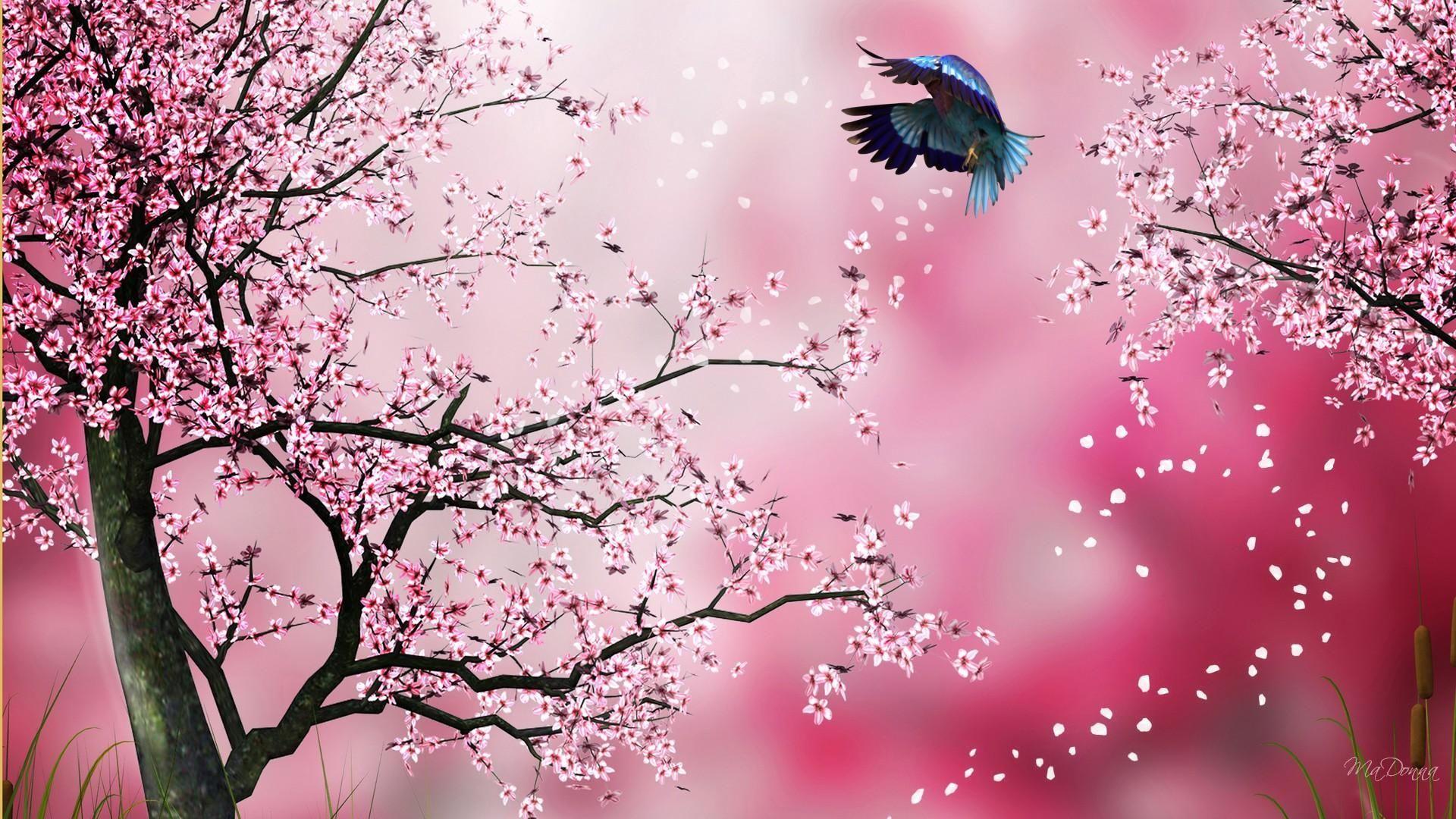 Pink Sakura Wallpapers Top Free Pink Sakura Backgrounds WallpaperAccess