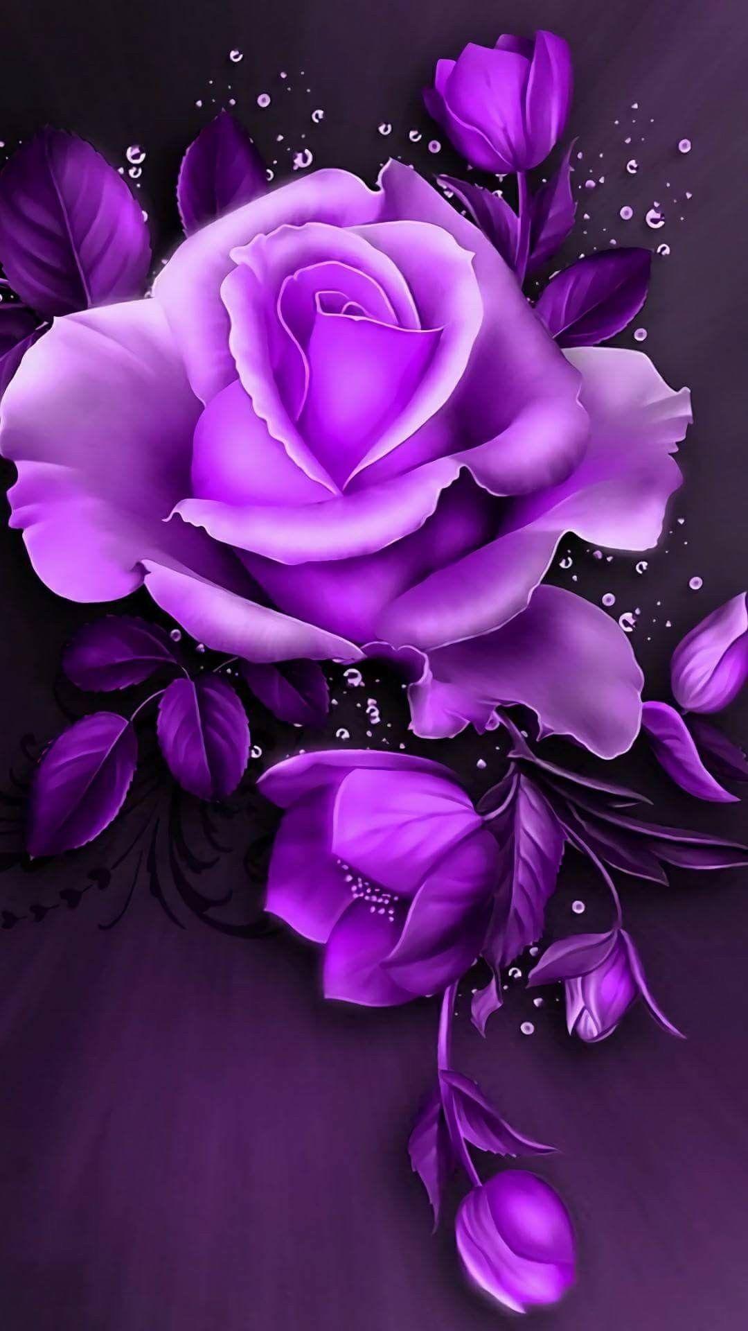 Beautiful Purple Wallpapers Top Free Beautiful Purple Backgrounds