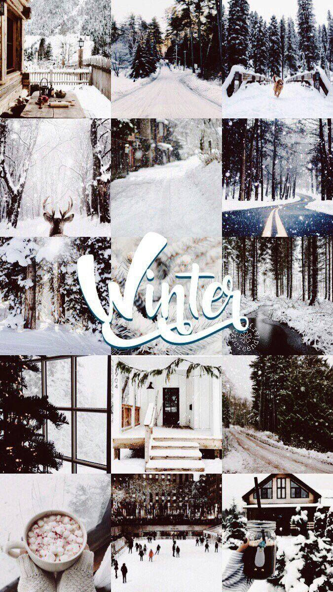 Winter Collage Wallpapers Top Free Winter Collage Backgrounds