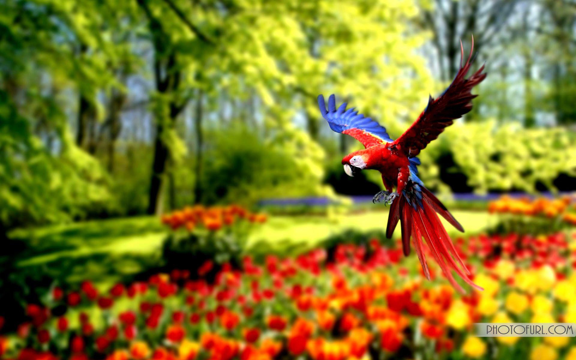 Zoo Animals Wallpapers Top Free Zoo Animals Backgrounds WallpaperAccess