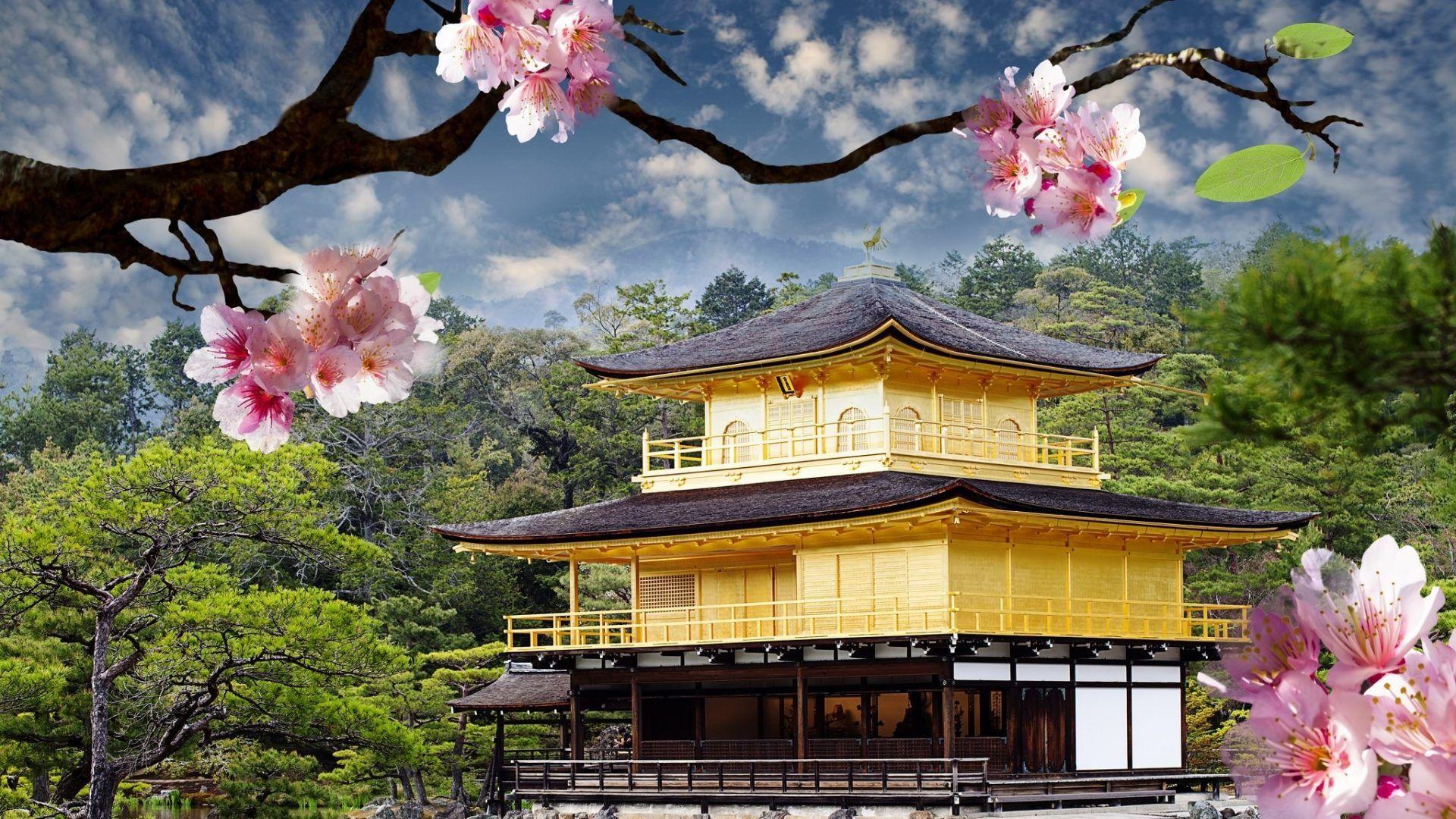 Japanese Photography Wallpapers Top Free Japanese Photography