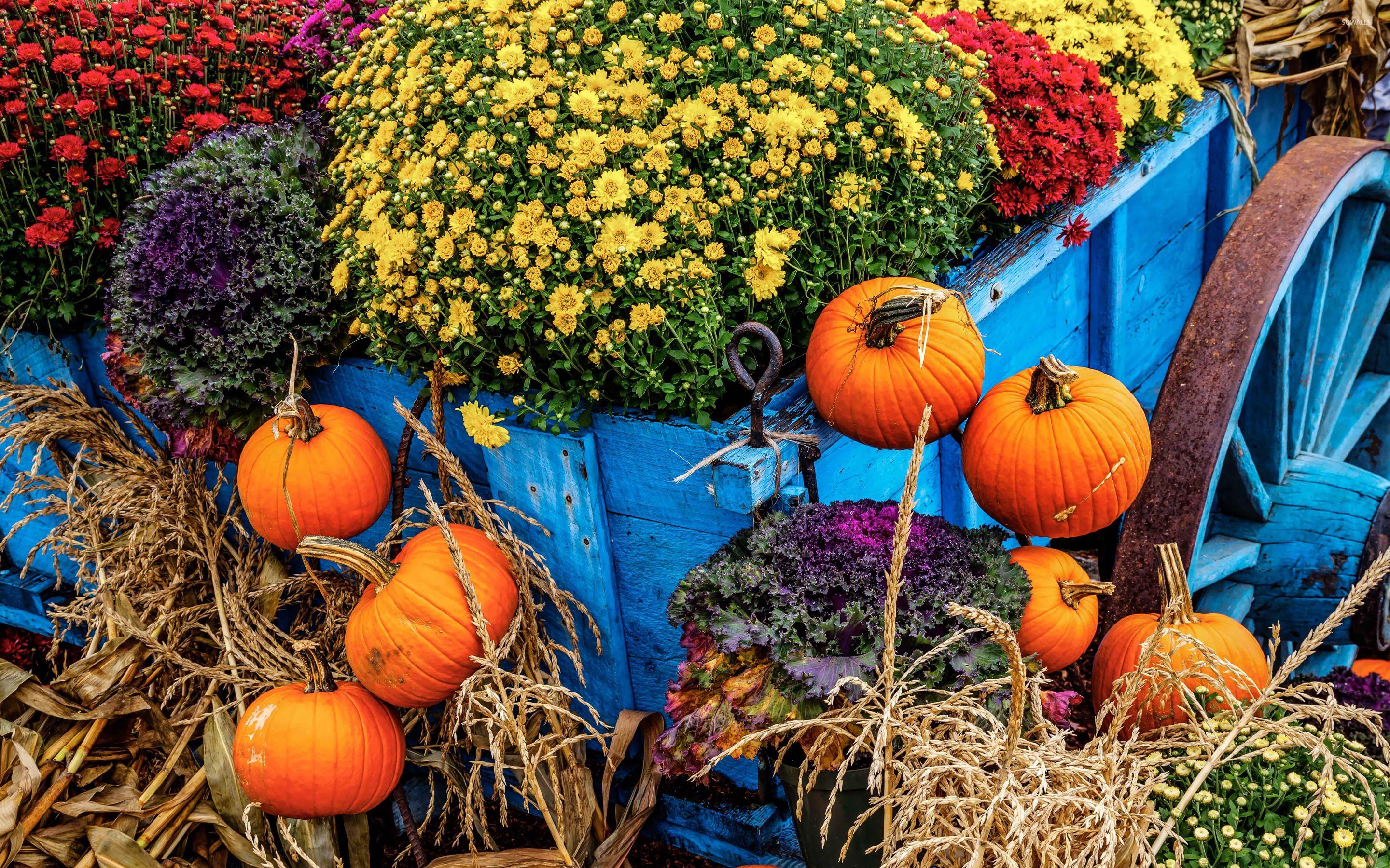 Market Wallpapers Top Free Market Backgrounds WallpaperAccess