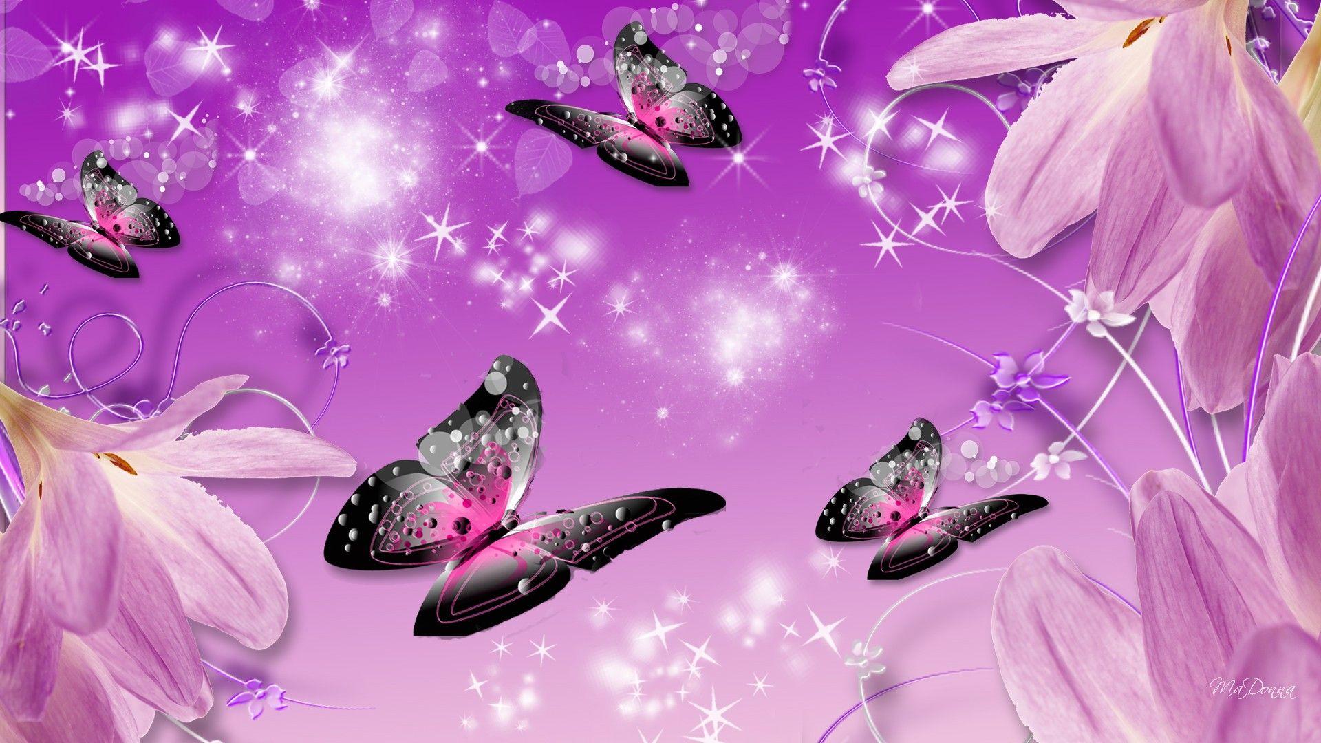 Mystical Butterfly Wallpapers Top Free Mystical Butterfly Backgrounds