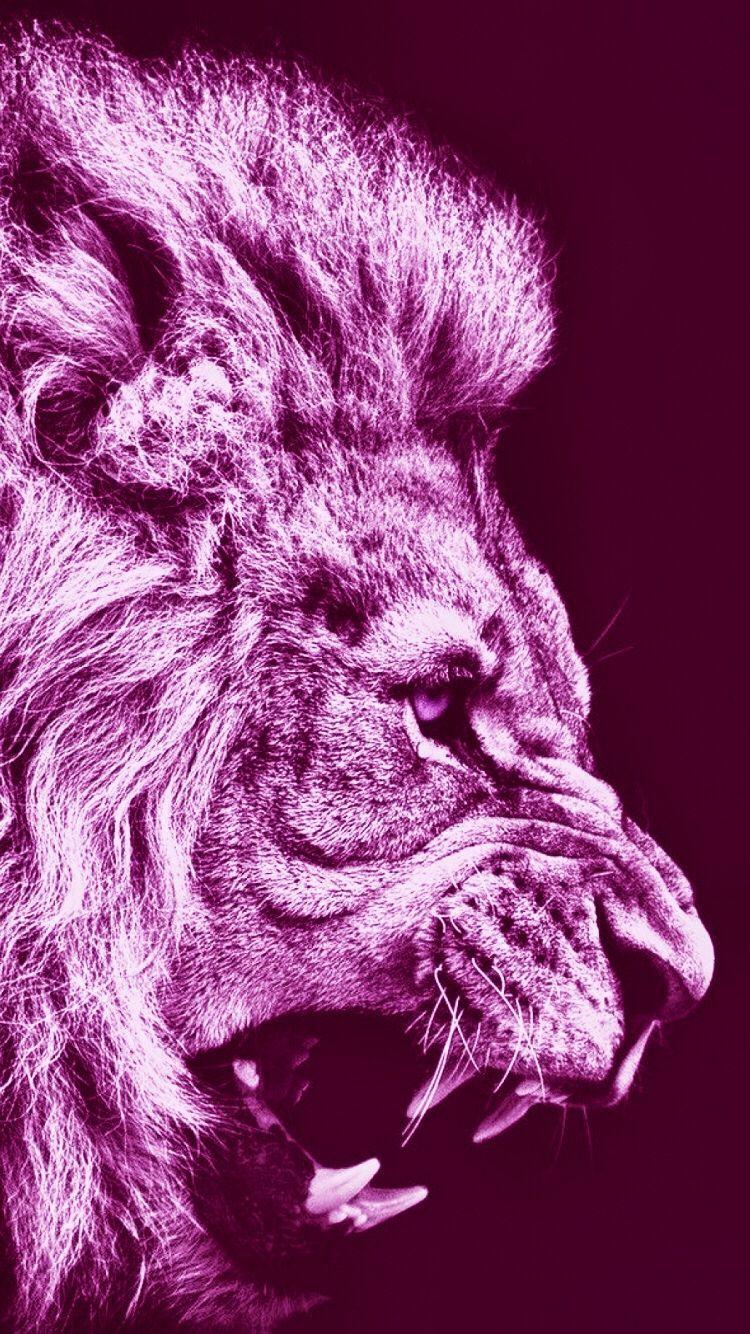 Pink Lion Wallpapers Top Free Pink Lion Backgrounds WallpaperAccess
