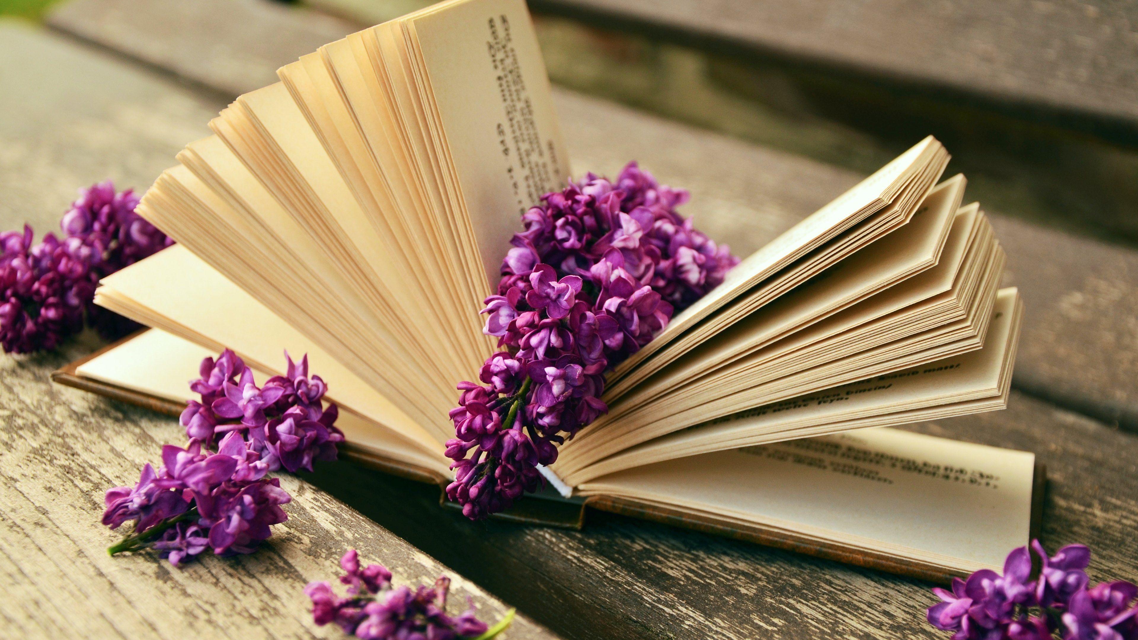 Books and Flowers Wallpapers Top Free Books and Flowers Backgrounds
