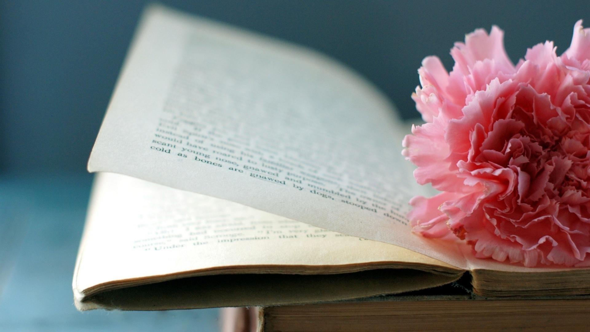 Books and Flowers Wallpapers Top Free Books and Flowers Backgrounds