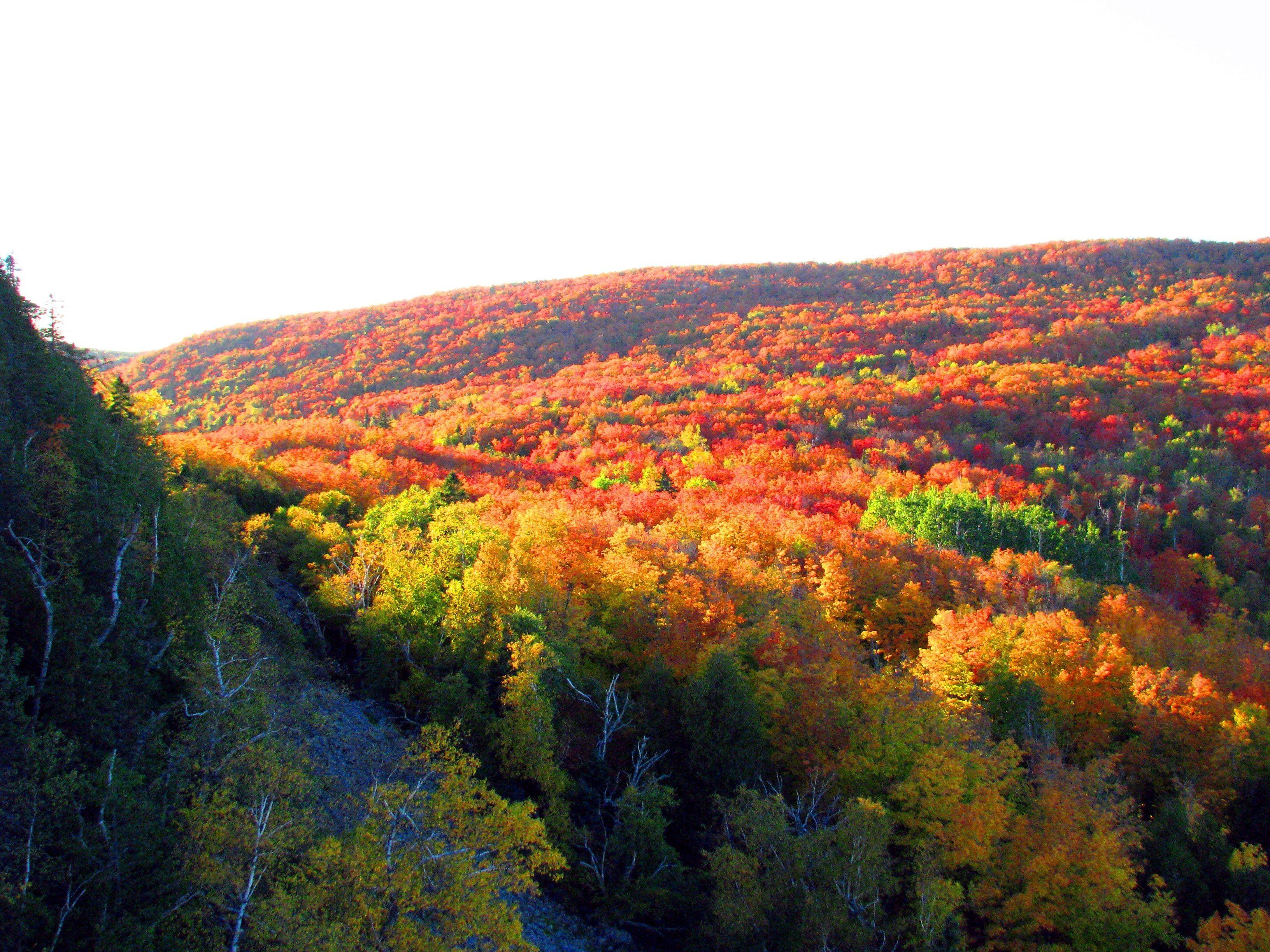 Minnesota Landscape Wallpapers Top Free Minnesota Landscape