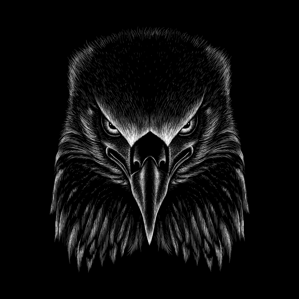Eagle Black and White Wallpapers Top Free Eagle Black and White