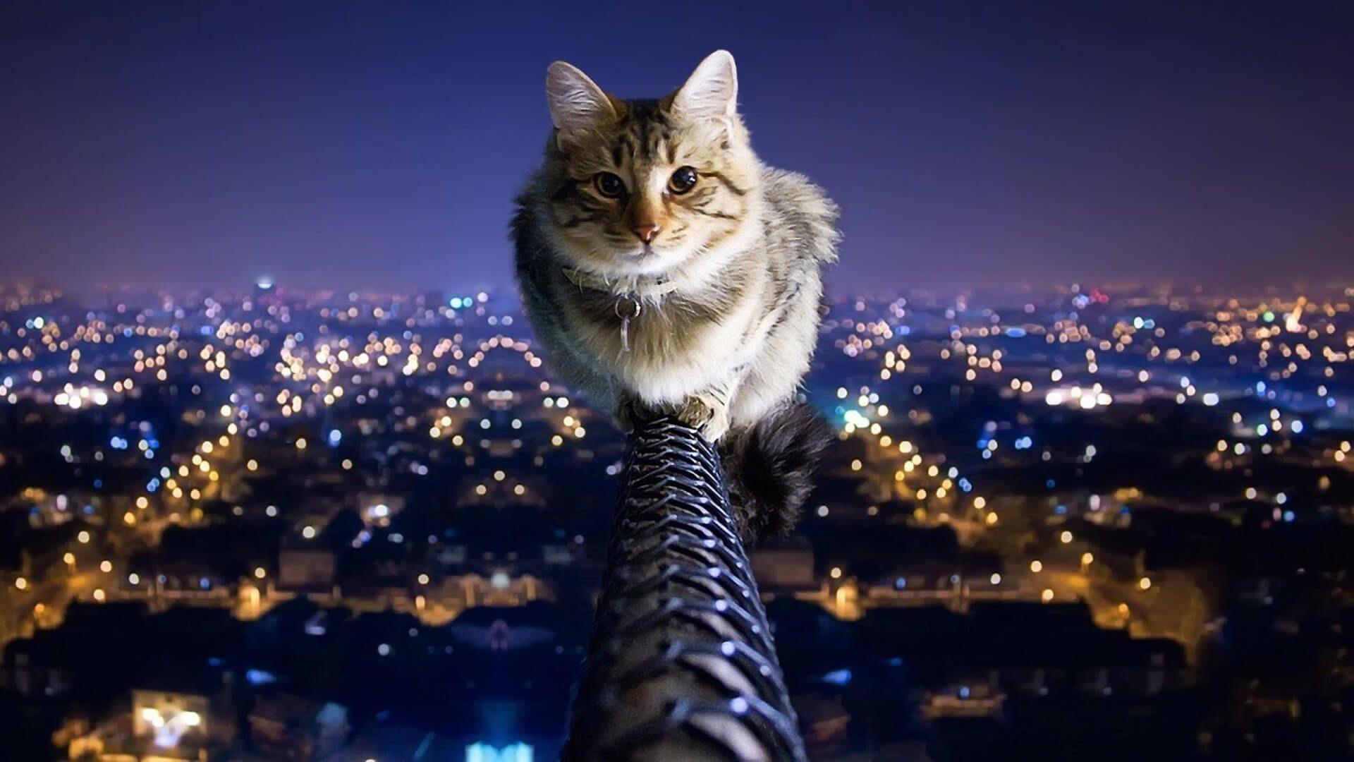 Cool PC Wallpapers Top Free Cool PC Backgrounds WallpaperAccess