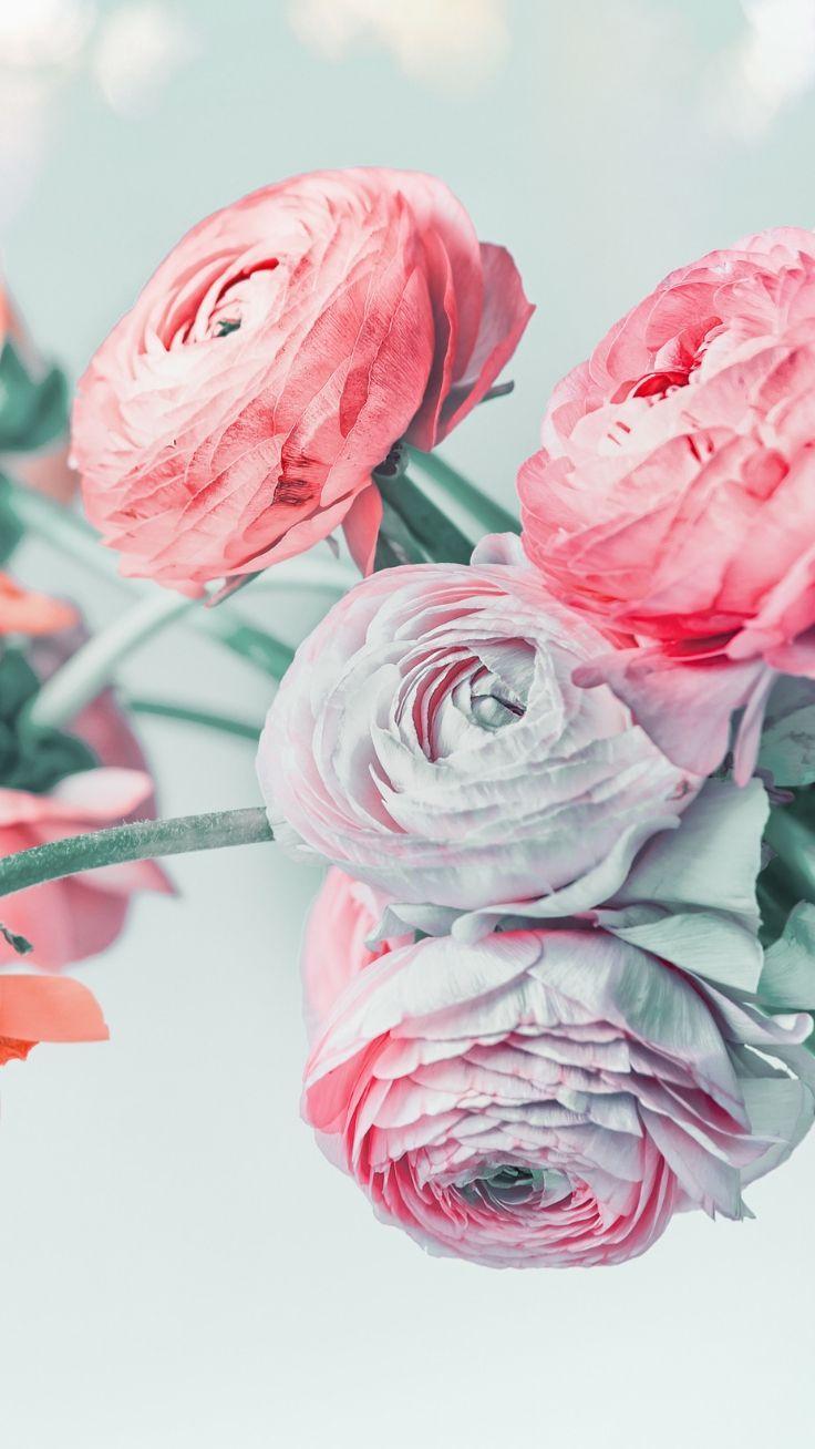 Cute iPhone Flower Wallpapers Top Free Cute iPhone Flower Backgrounds